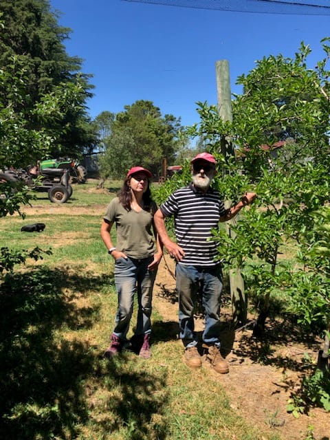 Strange Happenings for Orchardists across the Hawkesbury