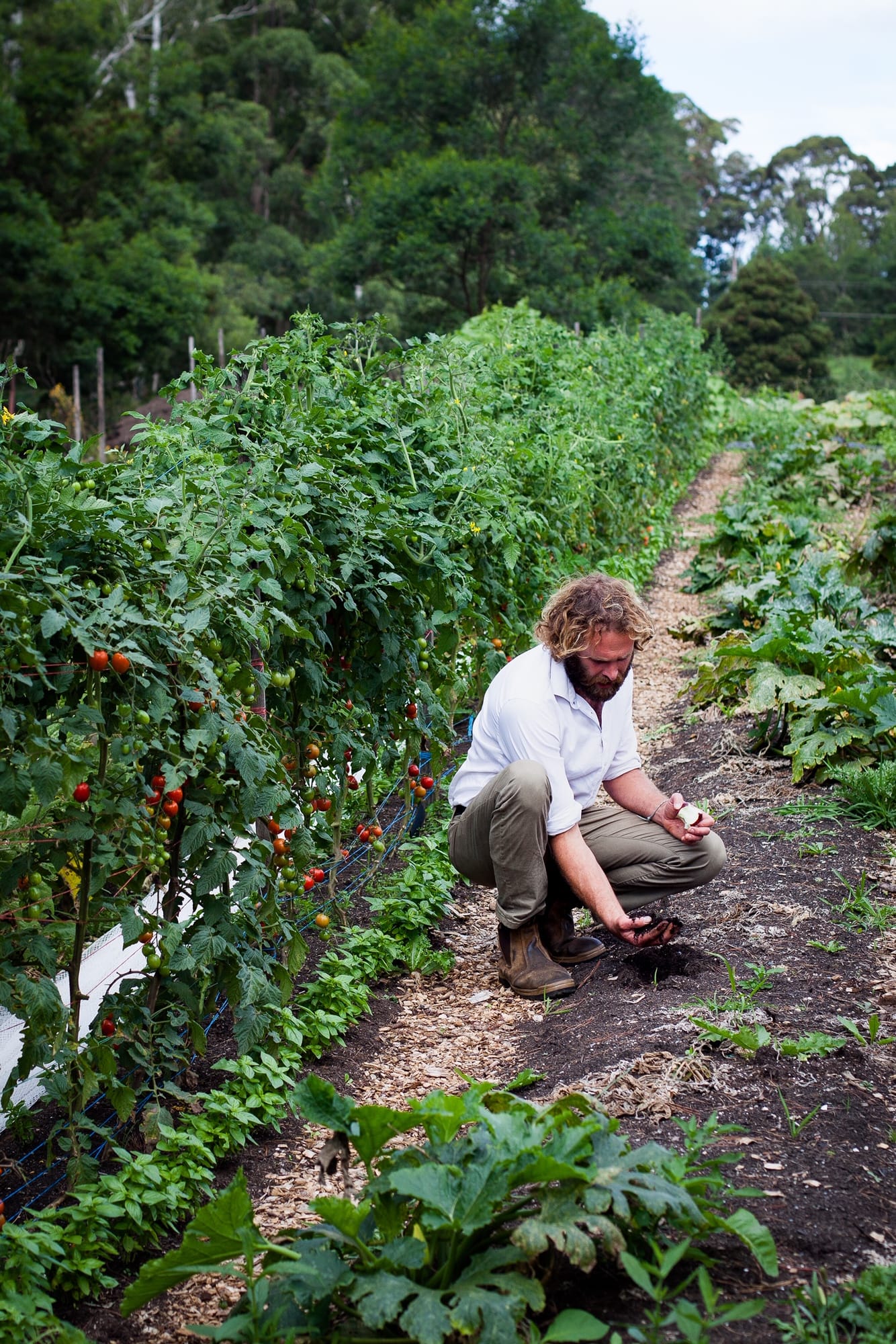 Bilpin’s Harvest Farms: Growing Organics the Right Way