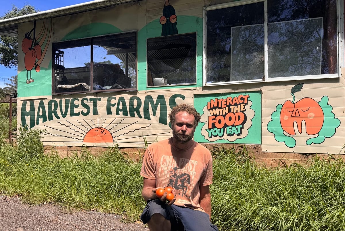 Hawkesbury's First Tomato Festival
