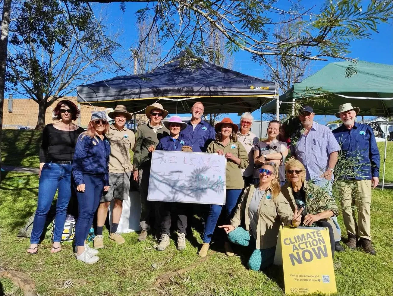 Community Unites to Protect Local Koalas