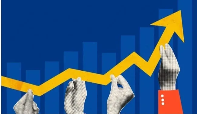 Hawkesbury Council Pushes for 40% Rate Rise