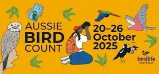Join the Great Aussie Bird Count
