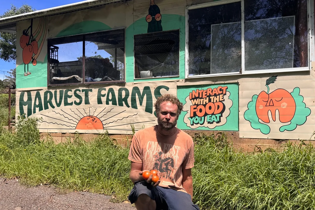 Hawkesbury's First Tomato Festival