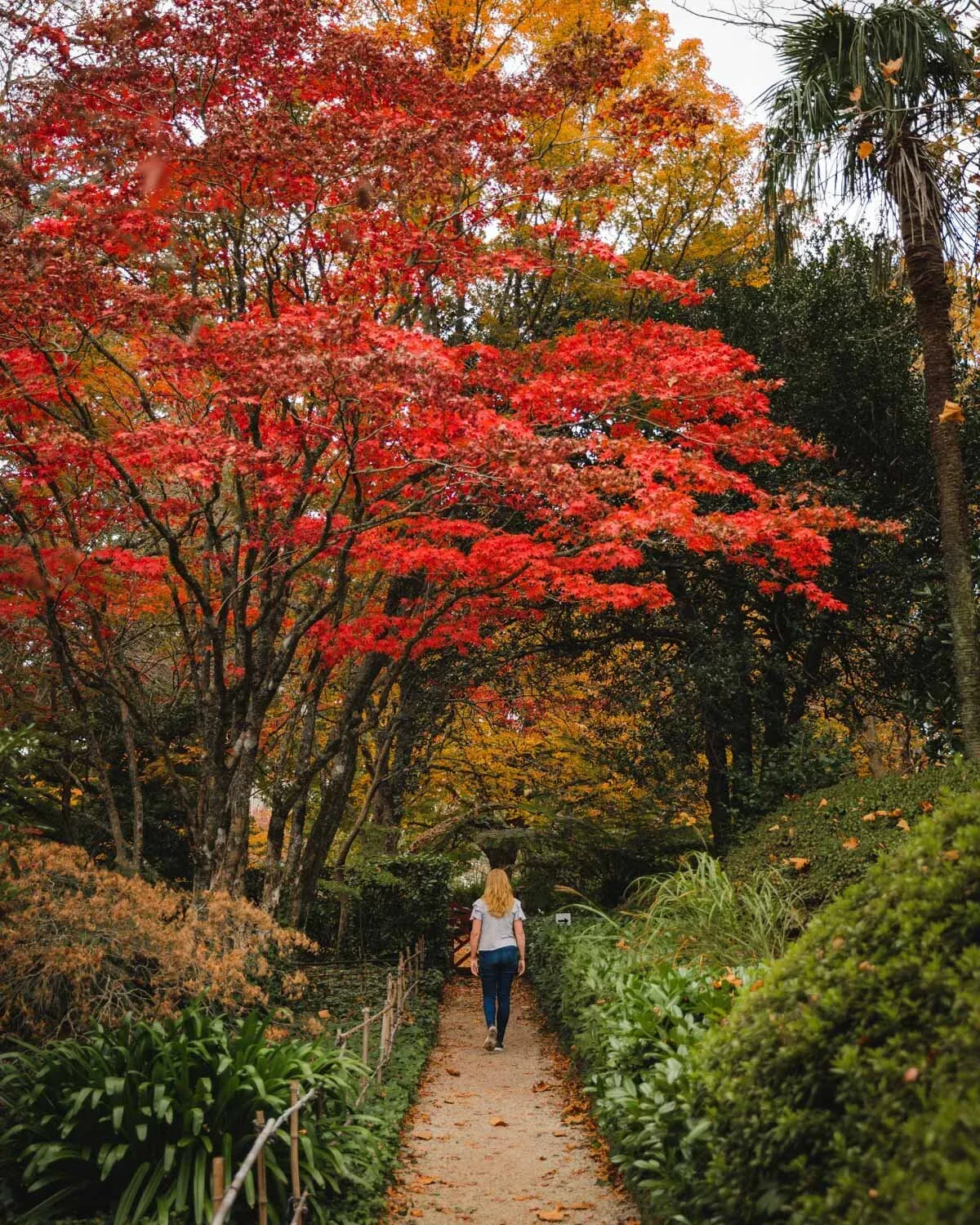 Mount Wilson cut off to visitors